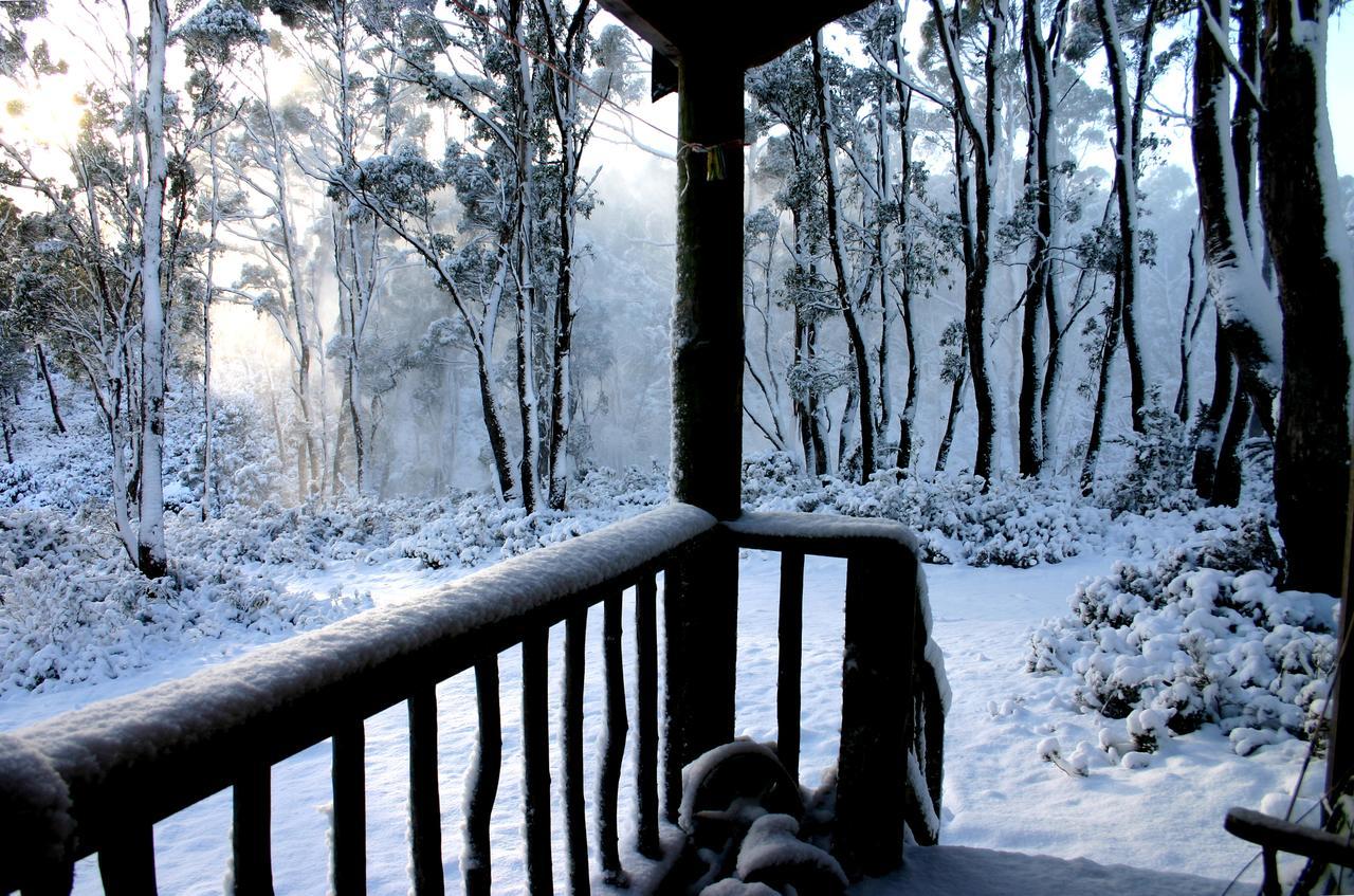 Villa Wombat Cabin à Moina Extérieur photo