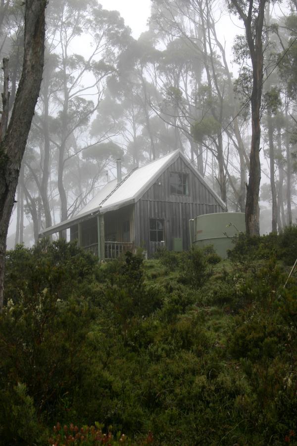 Villa Wombat Cabin à Moina Extérieur photo