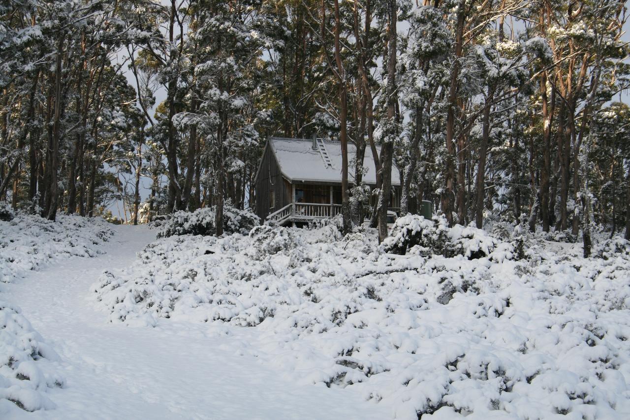 Villa Wombat Cabin à Moina Extérieur photo